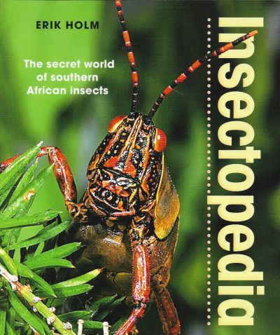 Cover of Insectopedia