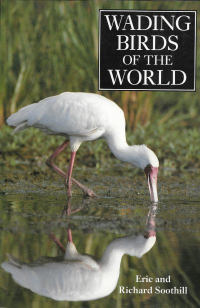 Cover of Wading Birds of the World