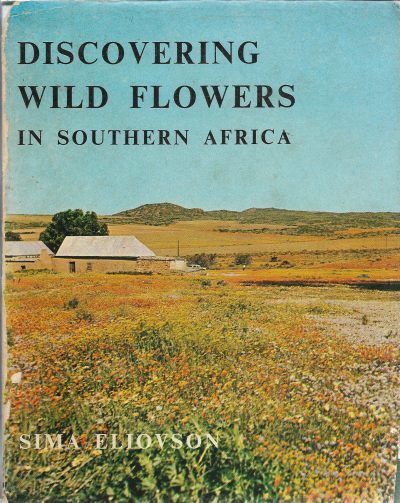 Cover of Discovering Wild Flowers in Southern Africa