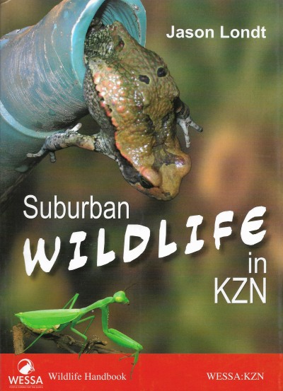 Suburban Wildlife in KZN
