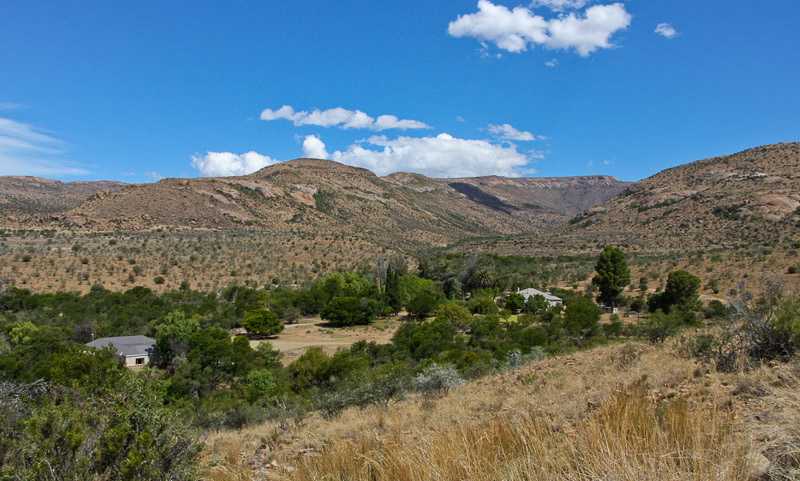 Scenery in the Mountain Zebra National Park