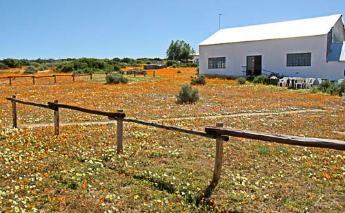 Information centre