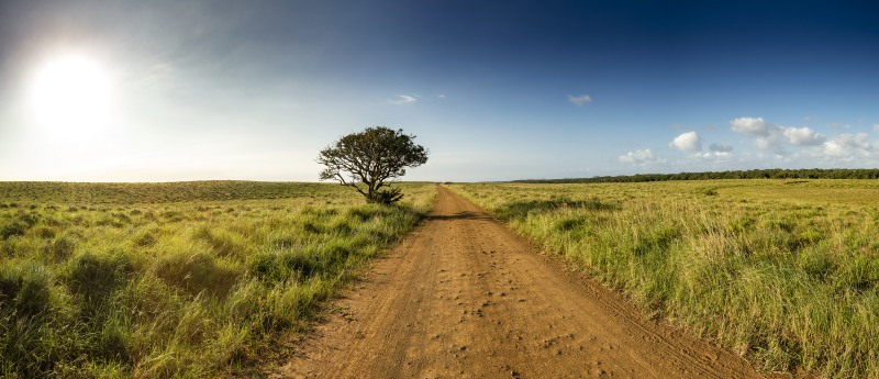 Isimangaliso Wetland Park road