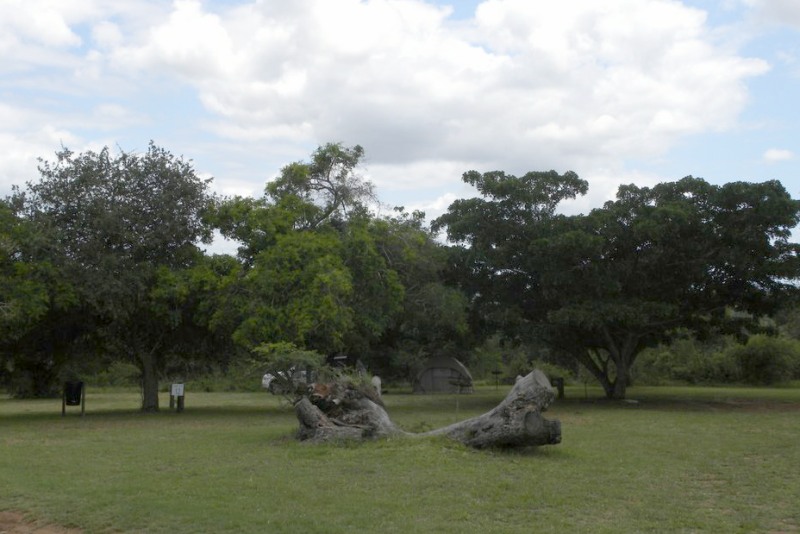 Ndumo camp site