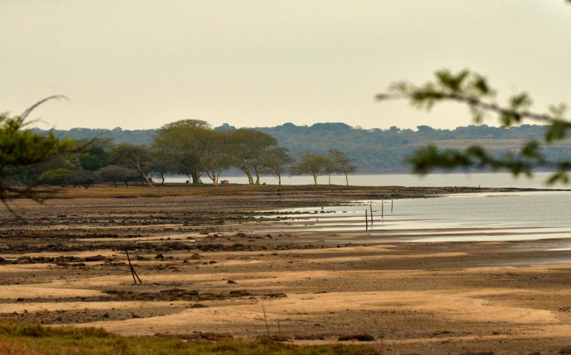 Part of the shoreline of Lake St. Lucia at False Bay