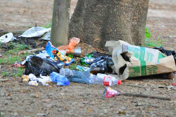 Vervet Monkeys have been here - they will turn your garbage upside down in no time at all!