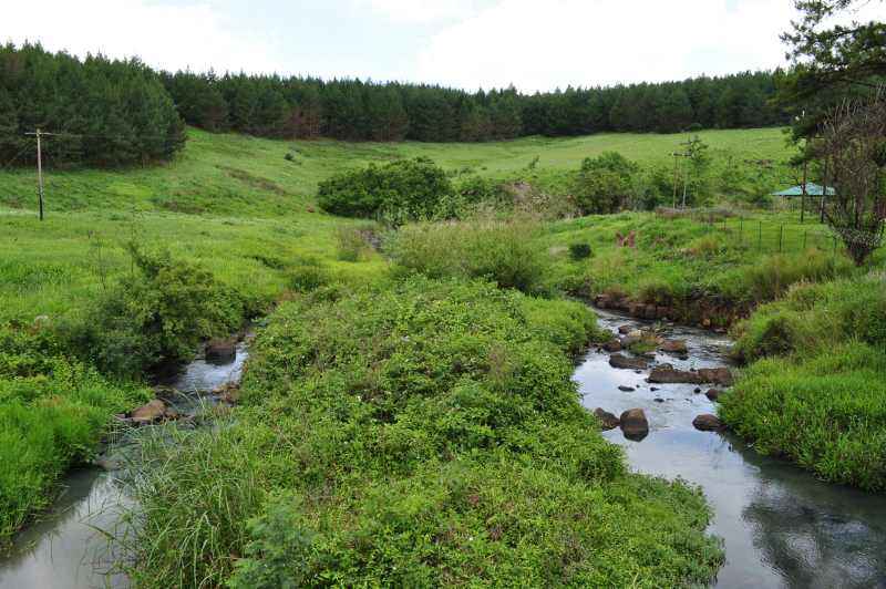 Looking downstream on the Mlazi River at Baynesfield