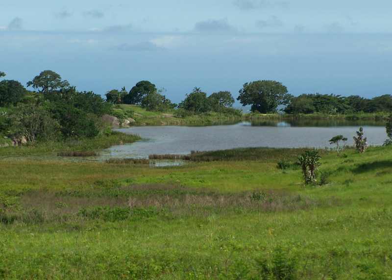 One of the dams in Vernon Crookes Nature Reserve