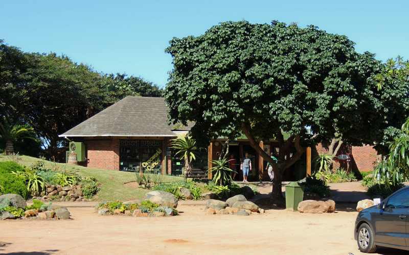 The reception area and shop at Crocworld near Scottburgh