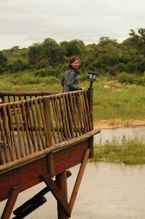 Overlooking the Sabie River at Skukuza camp in Kruger National Park