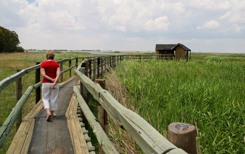 A boardwalk leads to a hide