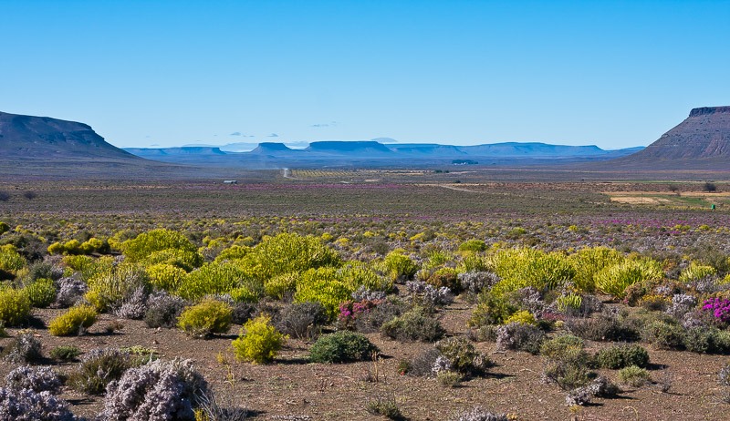 Calvinia scenery