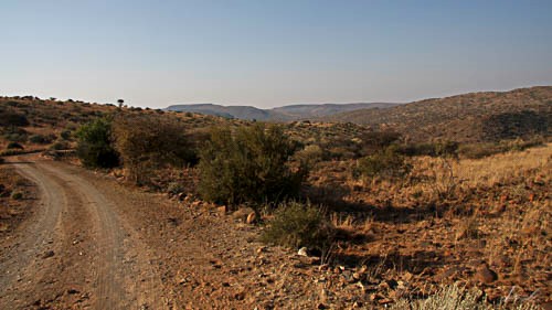 Scenery in Rolfontein Nature Reserve