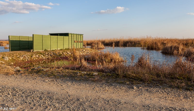 One of the hides at Marievale