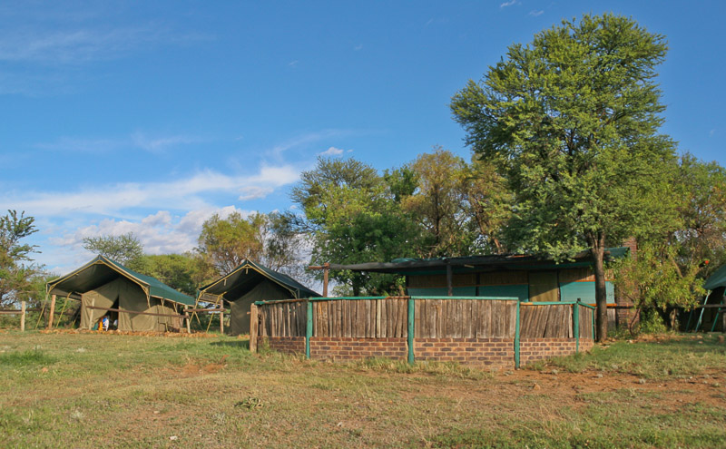 Safari tents