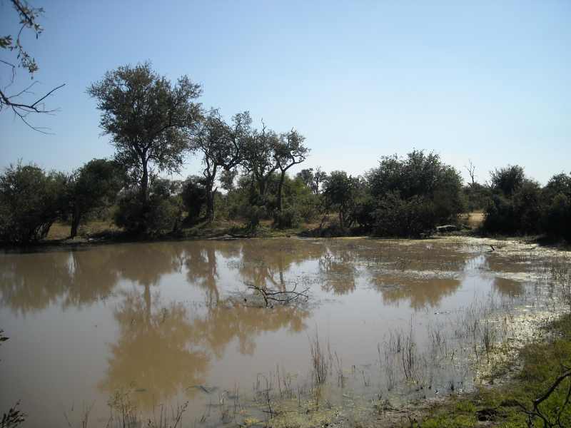 The waterhole visible from Gardenia Hide