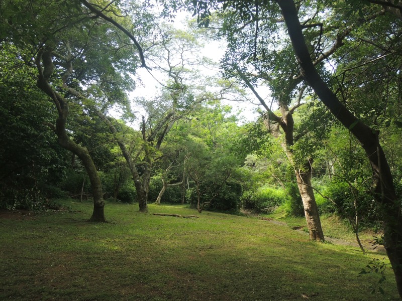 Pigeon Valley Nature Reserve