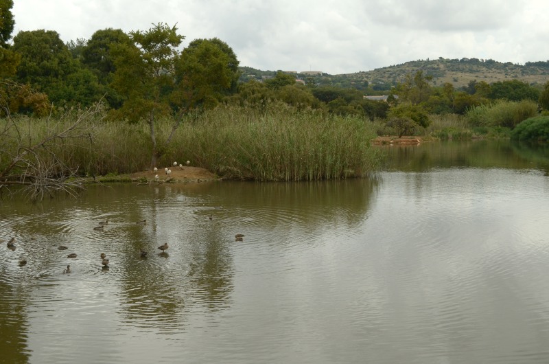 Austin Roberts Bird Sanctuary