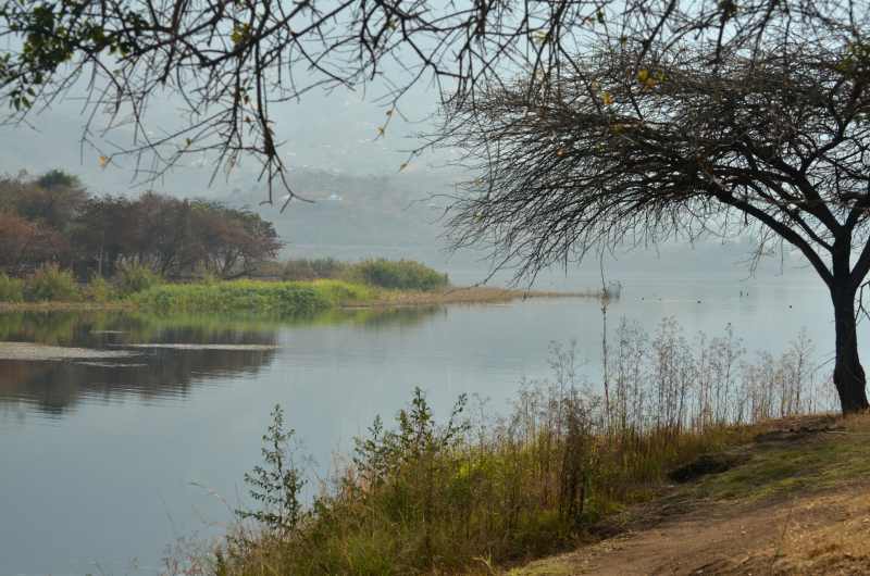 A quiet cove at Inanda Dam