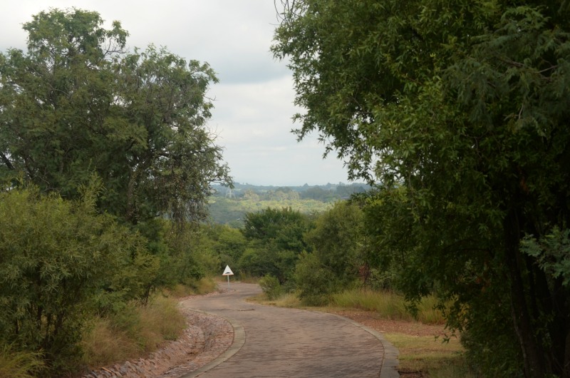 Roodeplaat Dam Nature Reserve road