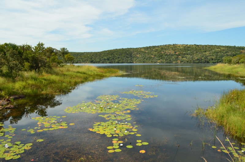 Rust de Winter Dam