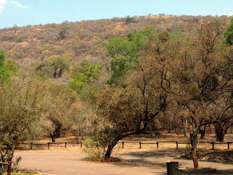 Picnic area