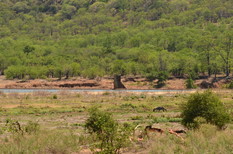 Charles Engelhardt Dam wall