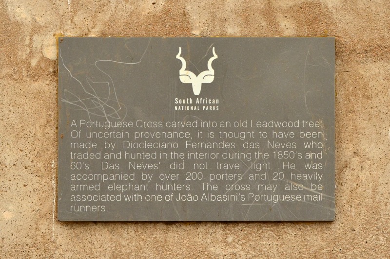 Plaque near the tree