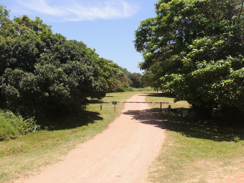 T.C. Robertson Nature Reserve