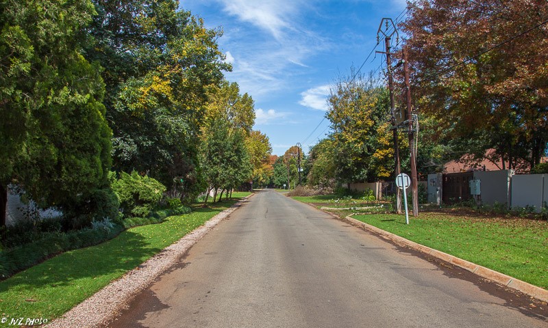 Trees line many of the streets