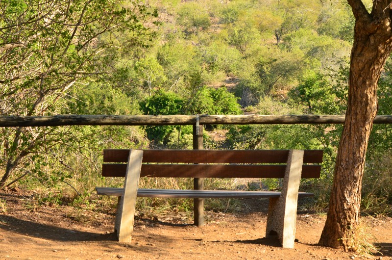 Bench with a view