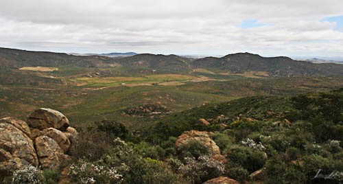 Grootvlei Pass view