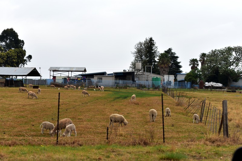 Farm in Welbekend